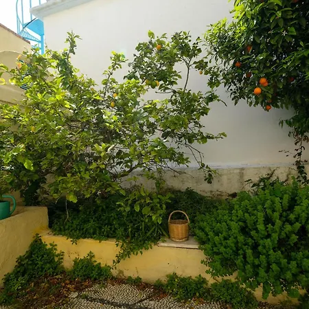αρχοντικό πατάκα Rhodes City